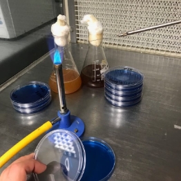 lab_services_offered_1
