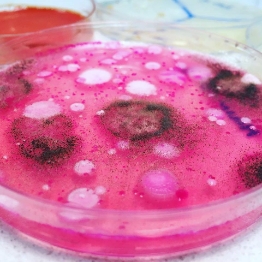 lab_services_offered_2