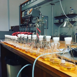 pro_brewer_img_3